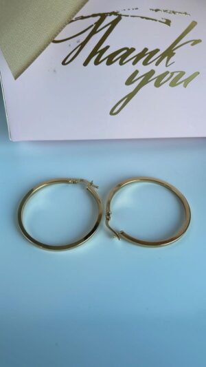 Aretes de Oro