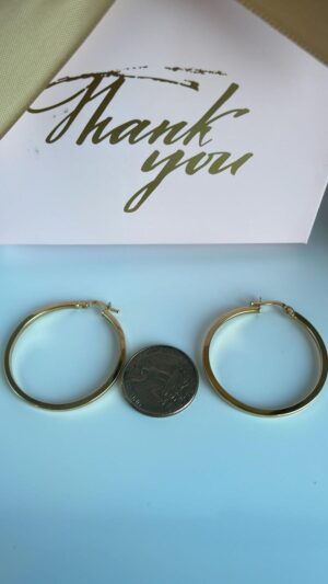 Aretes de Oro - Imagen 2