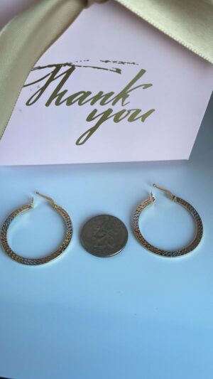 Aretes de Oro