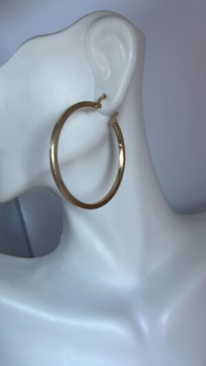 Aretes de Oro - Imagen 3