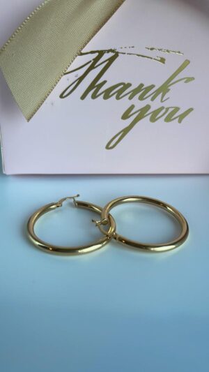 Aretes de Oro