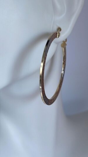 Aretes de Oro - Imagen 4