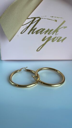 Aretes de Oro - Imagen 4