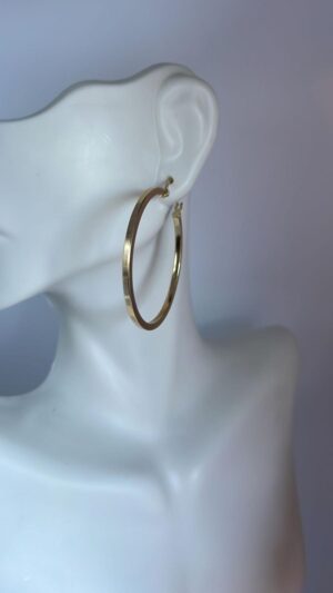 Aretes de Oro - Imagen 5