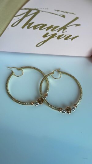 Aretes de Oro